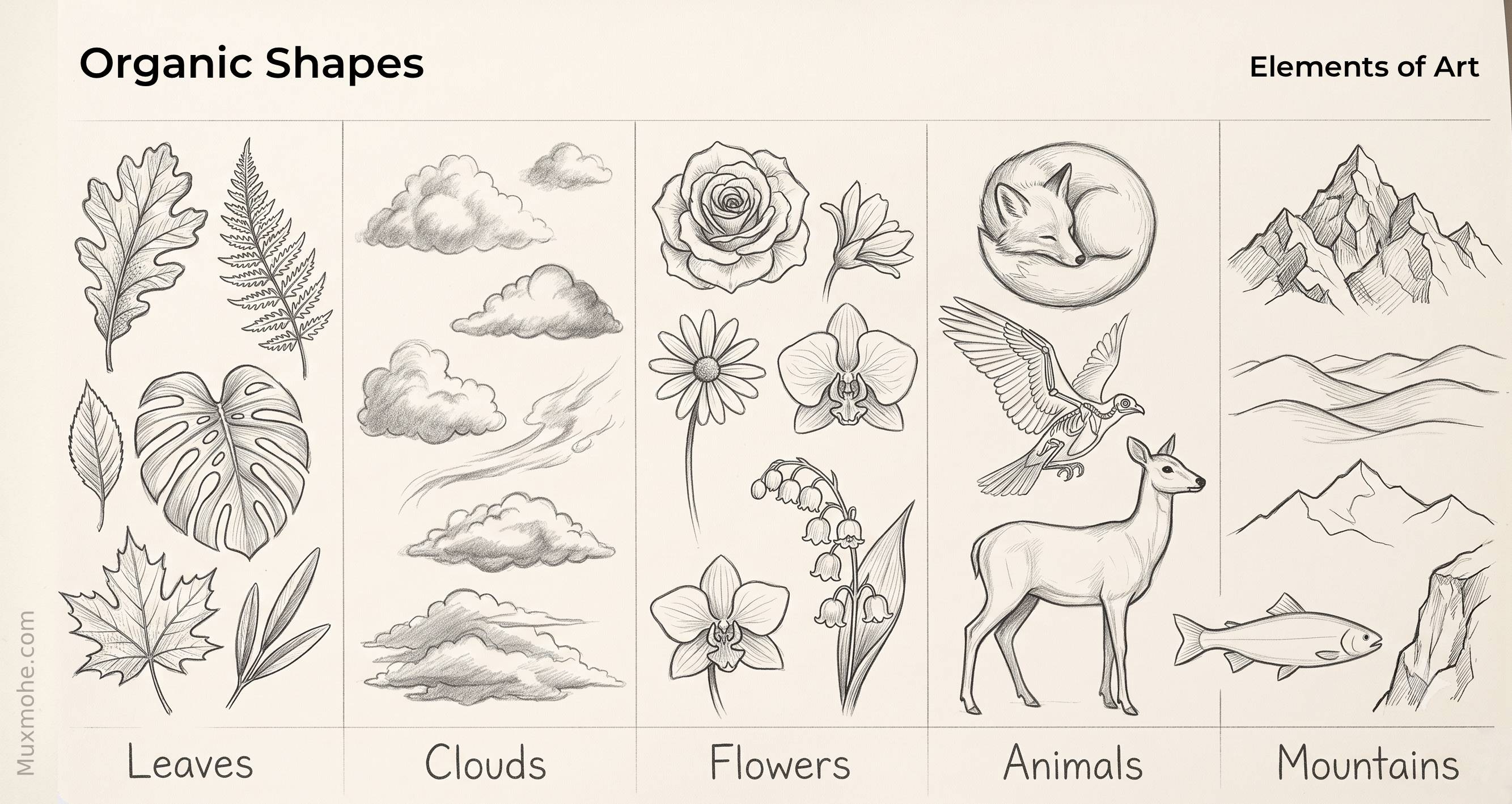 Organic shapesin art